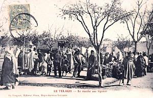 Le Telagh - Marche aux Legumes - 1907